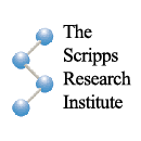 The Scripps Research Institute